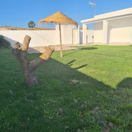 Viila Arbolito *